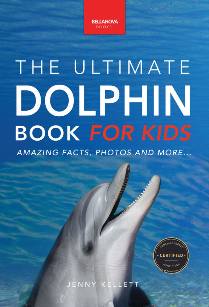 dolphin eb cover smaller again