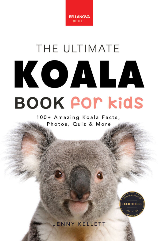 koala cover eb smaller
