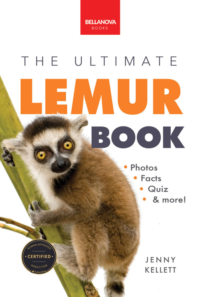 lemur cover eb small lemur book for kids